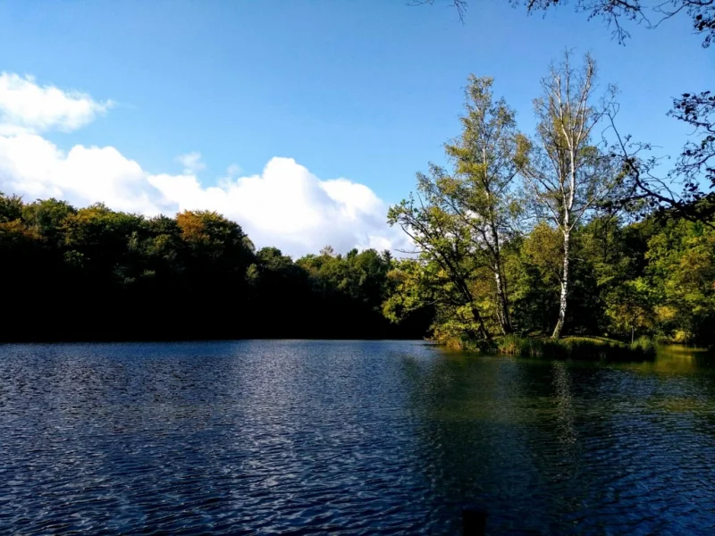 Waldsee – Entspannung