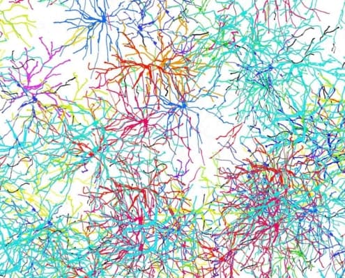 Gedanken, Synapsen, Gehirnzellen