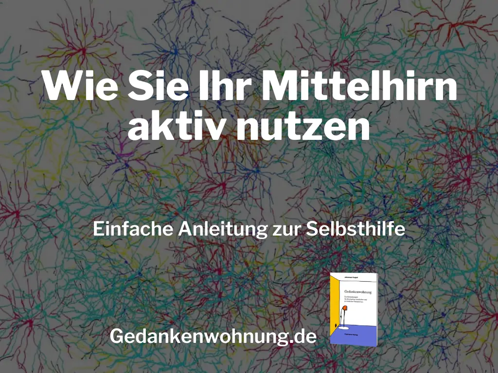 Wie Sie Ihr Mittelhirn aktiv nutzen