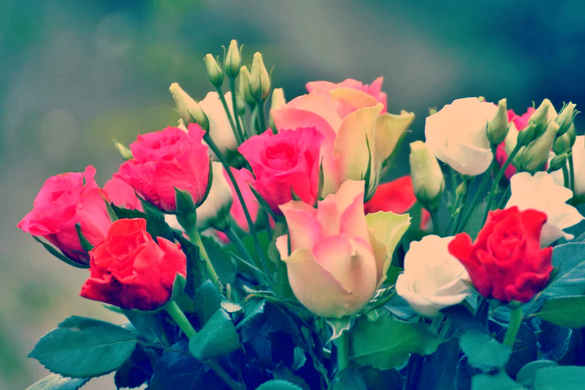 Blumen in der Beziehung